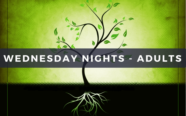 Wednesday Nights - Adults